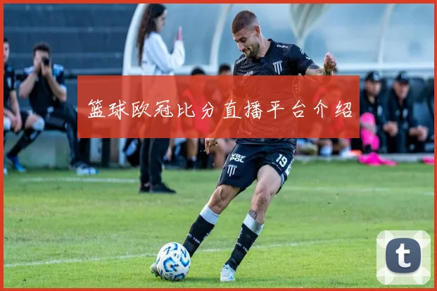篮球欧冠比分直播平台介绍