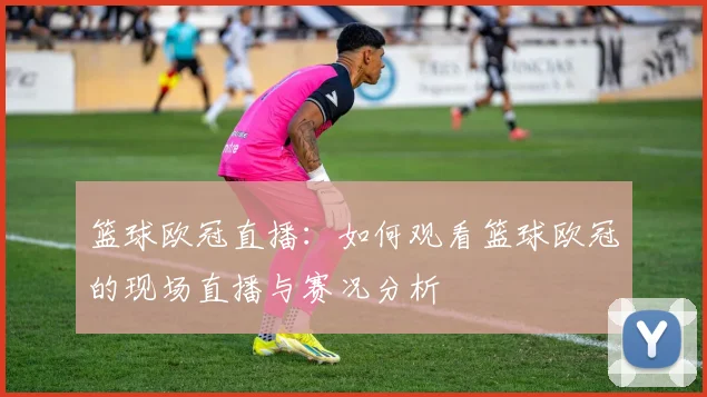 篮球欧冠直播：如何观看篮球欧冠的现场直播与赛况分析