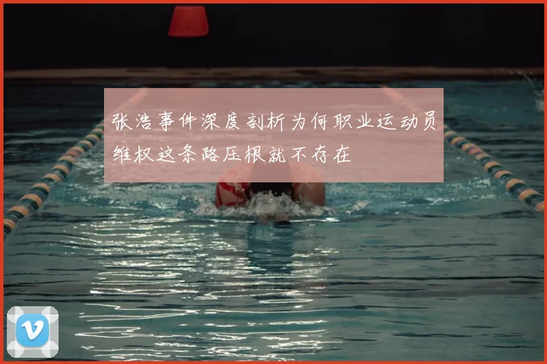 张浩事件深度剖析为何职业运动员维权这条路压根就不存在